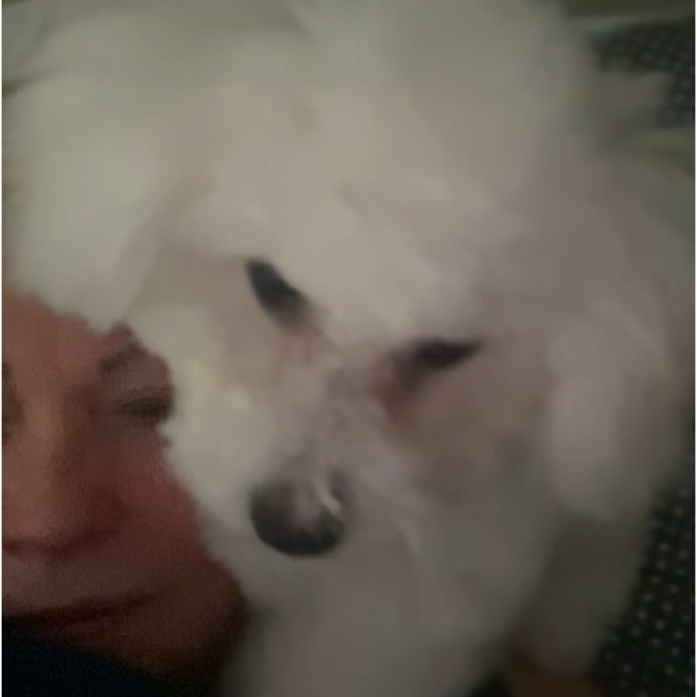 Meet your Posher, Lola